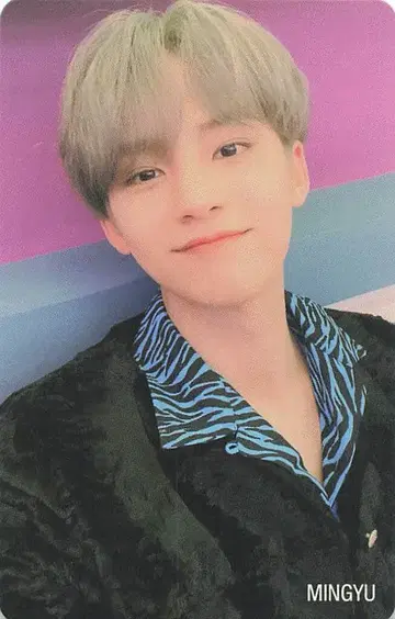SEVENTEEN Semicolon MINGYU 트레이딩 카드