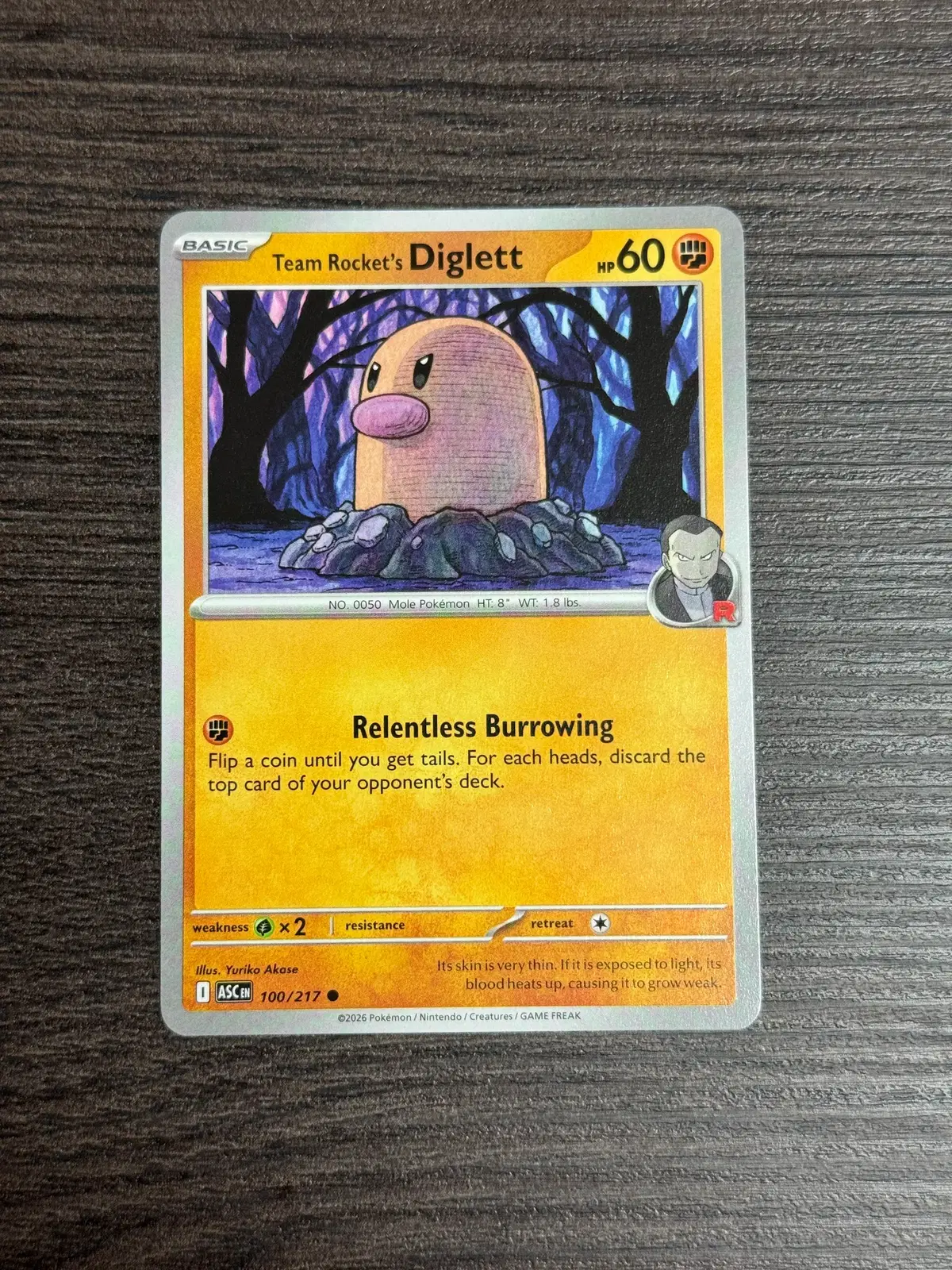 포켓몬카드 북미 디그다 판매 4-E9