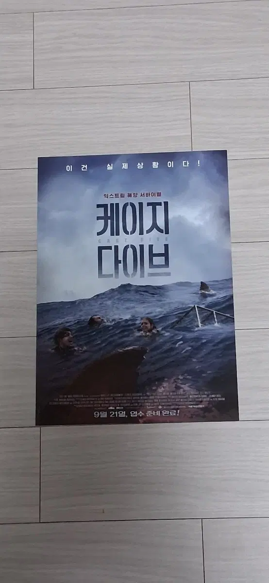 메간페타힐 조시포트호프 케이지다이브(2017년)전단지