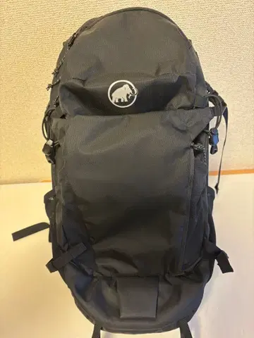MAMMUT 마무트 백팩 리튬 25L 블랙