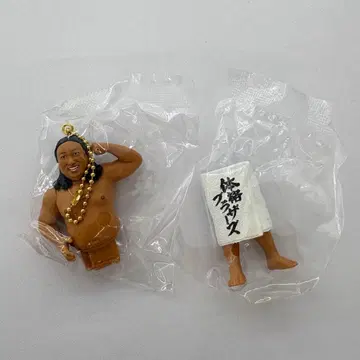 체격 브라더스 빅 바디 컬렉션 아키야마 씨 (류) BIG 피규어