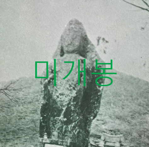 [미개봉] 폐허 - Dead And Forgotten (CDR)