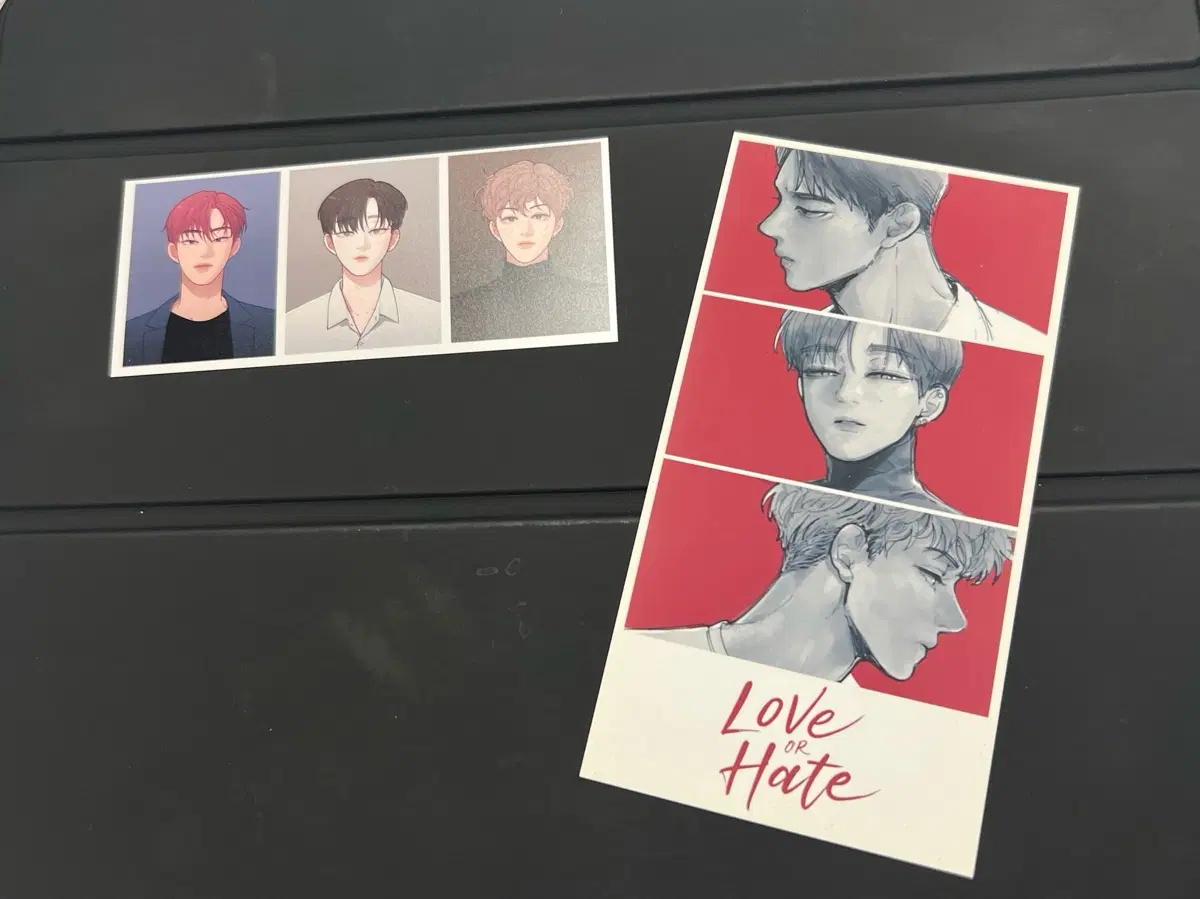 일괄) 레진 Love or Hate 러브오어헤이트 포토카드