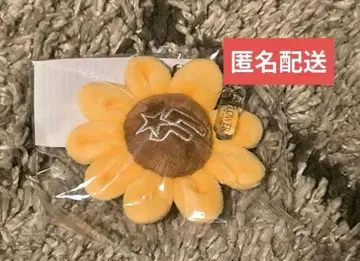 FANTASTICS SUNFLOWER 업그레이드 굿즈