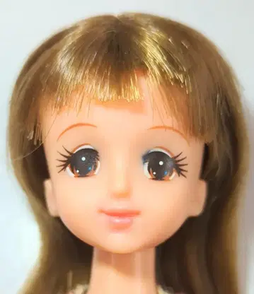 제니 일본제