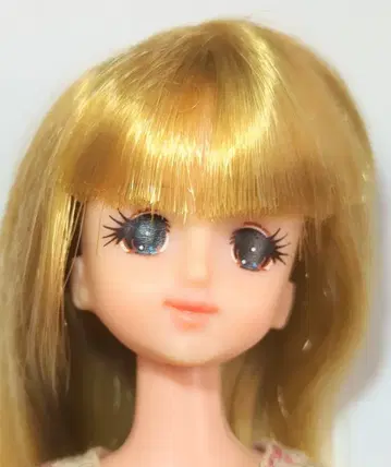 제니 일본제