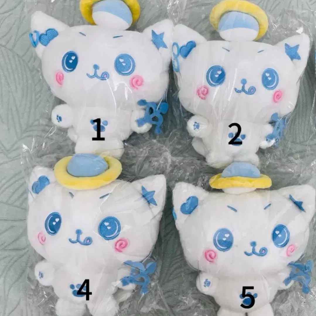 NCT wish riku Kuri doll WTS | Bunjang Global
