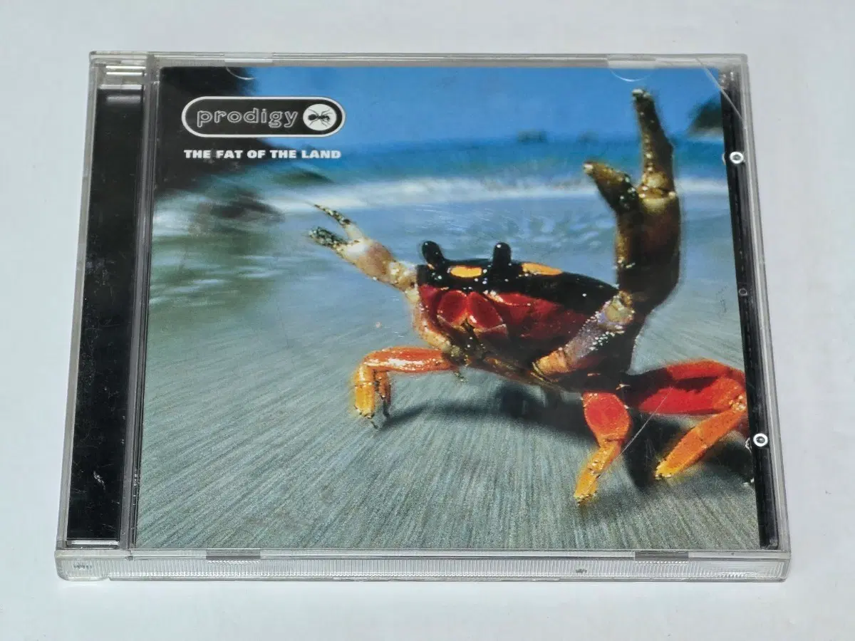 프로디지 (The Prodigy) - The Fat of the Land 3집