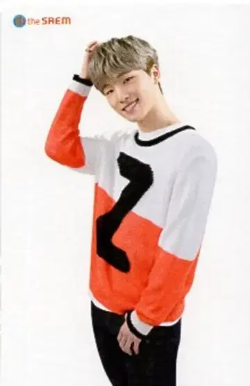 세븐틴 더샘 디노 트레이딩 카드