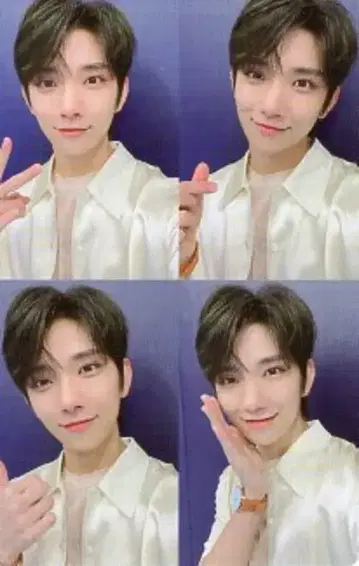 SEVENTEEN [Heng:garae] JOSHUA 트레이딩 카드 NET