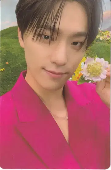 세븐틴 SECTOR 17 DINO 트레이딩 카드