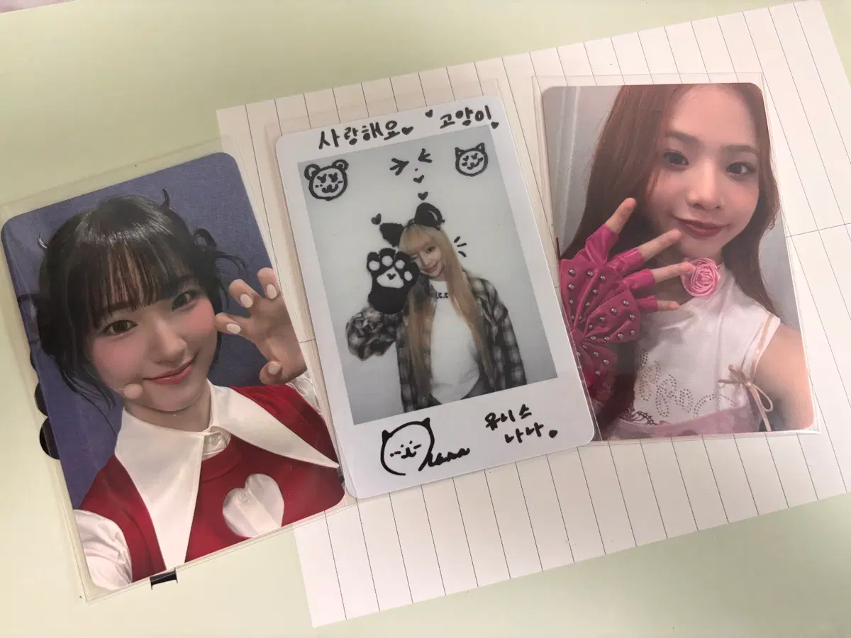 유니스 양도