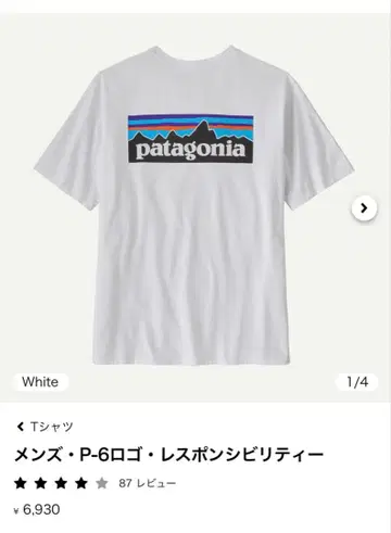 Patagonia 남성용 P-6 로고 레스폰서빌리티