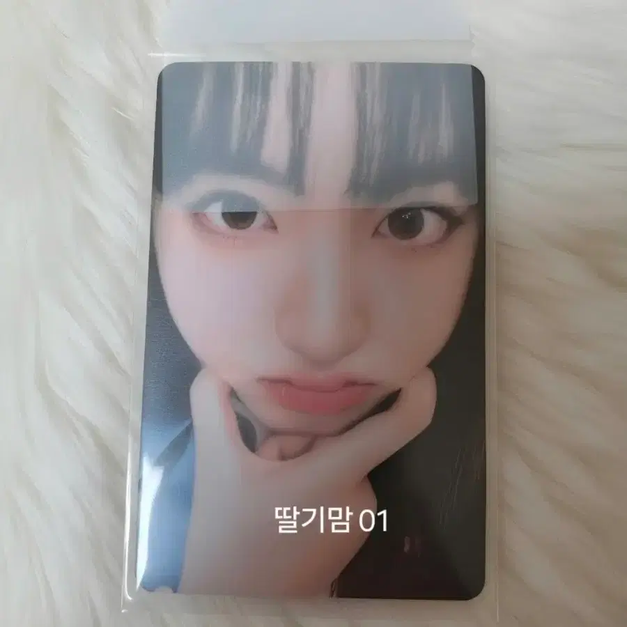 급처)아이브 리즈 얼빡 포카