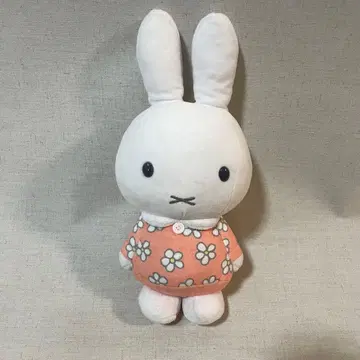 miffy 미피 봉제 인형
