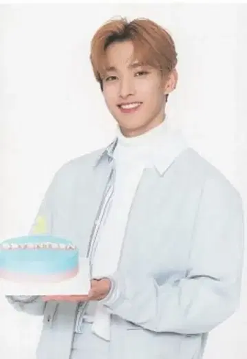 SEVENTEEN 2021 HARE DK 트레이딩 카드 0031
