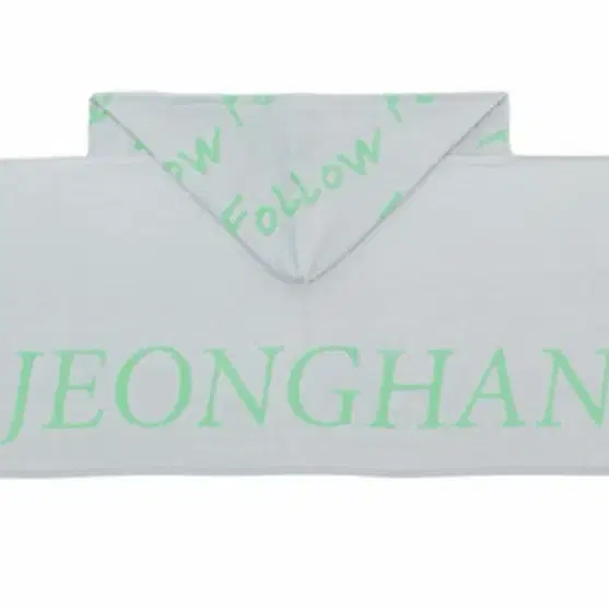 세븐틴 JEONGHAN 정한 후드 타월
