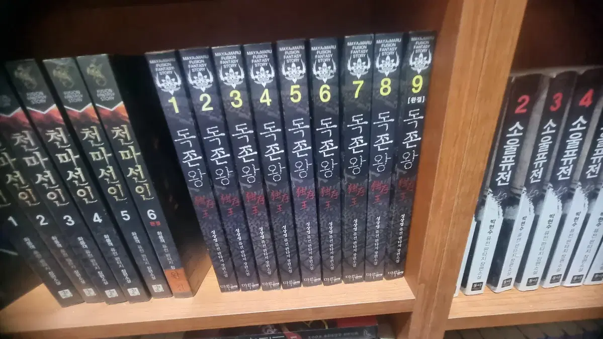독존왕 1-9 완 성상영 퓨전 판타지 소설