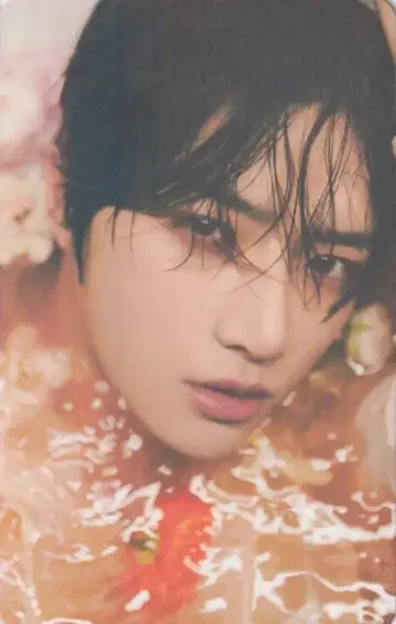 TXT 위버스 ver. 범규 SWEET 4형태