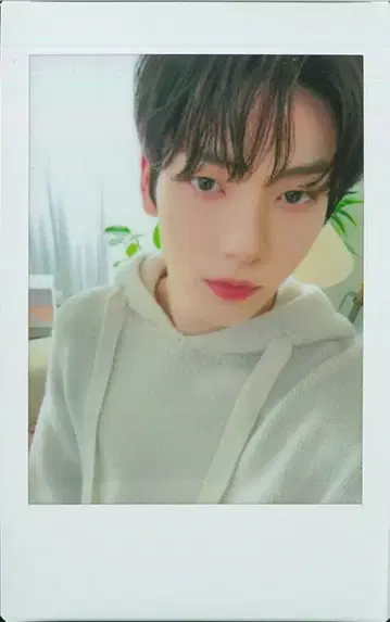 TXT 수빈 DREAM WEEK JAPAN 폴라로이드