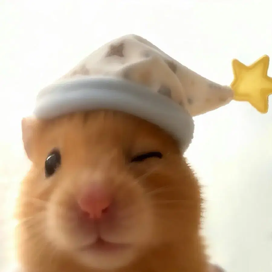 마이쮸 늦잠 스폐셜 포카 구해요 ㅠㅜㅠㅜㅠㅜ