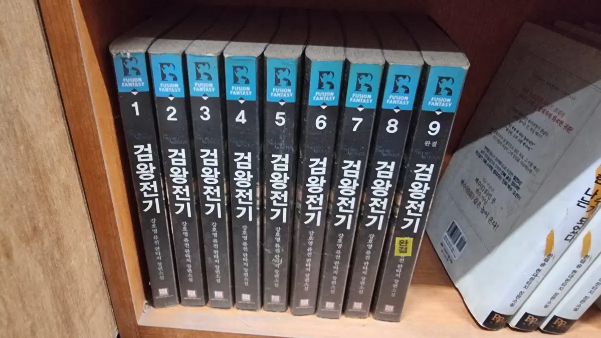 검왕전기 1-9 완 강호영 퓨전 판타지 소설