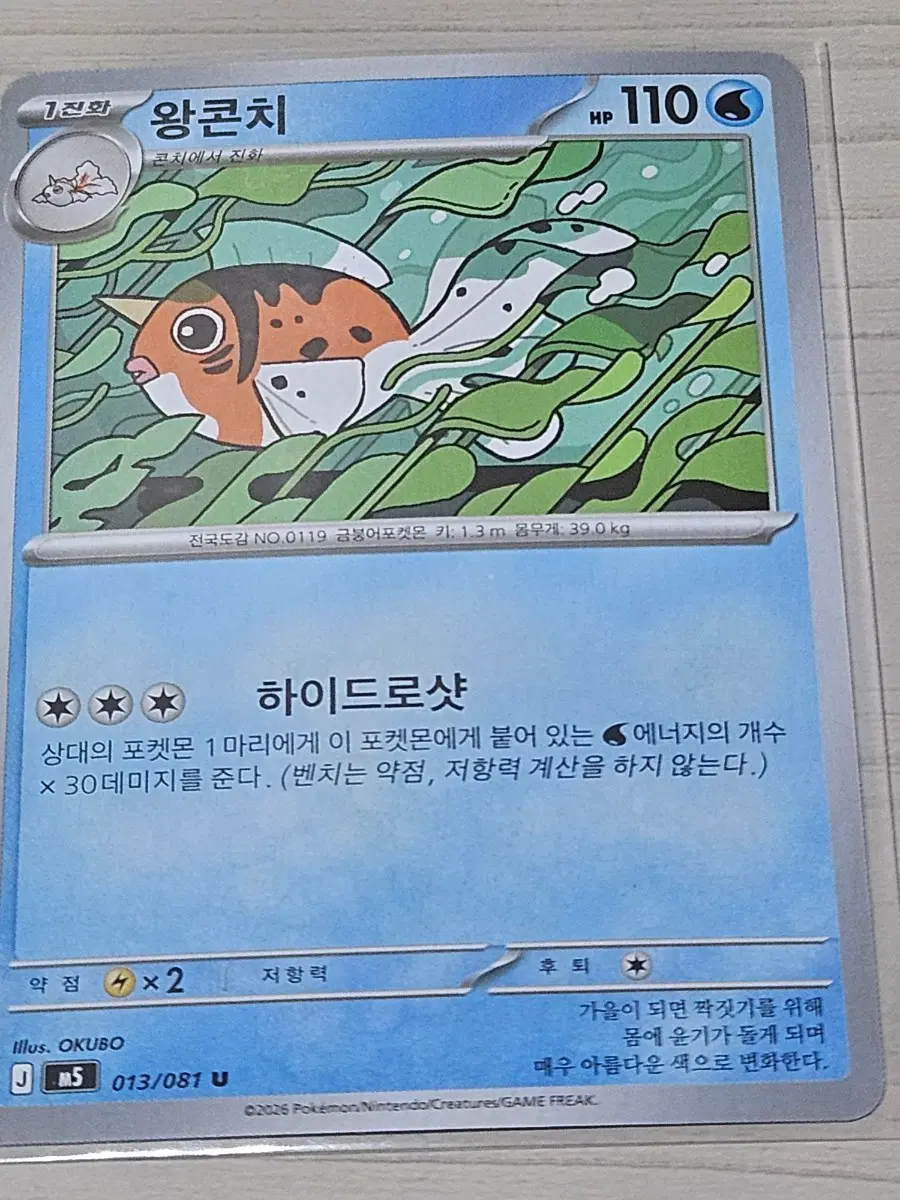 [득템] 포켓몬카드 왕콘치