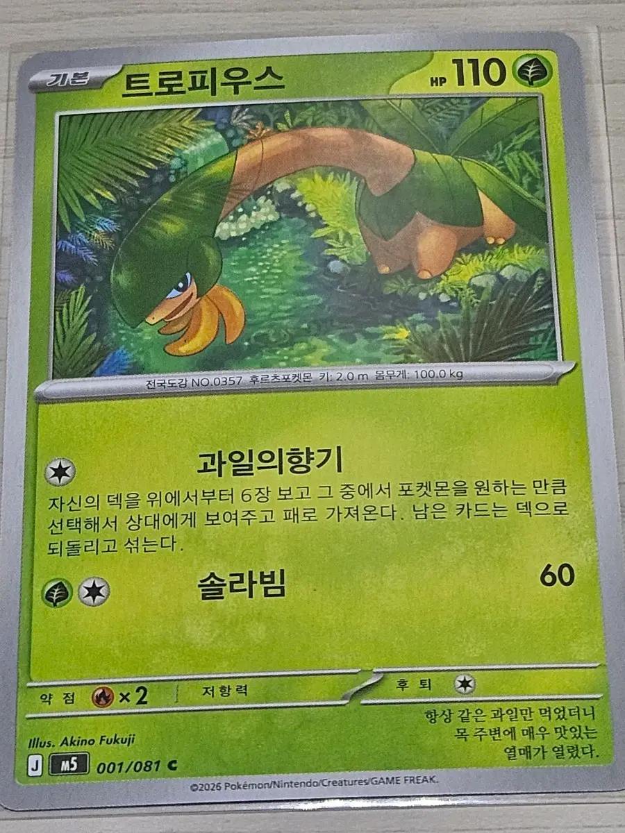 [한정수량] 포켓몬카드 트로피우스 001/081 C