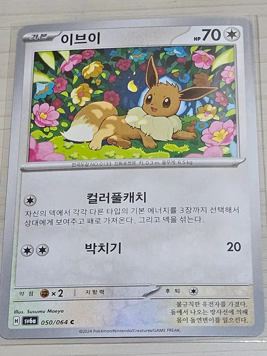 [최저가] 포켓몬카드 이브이 050/064 C