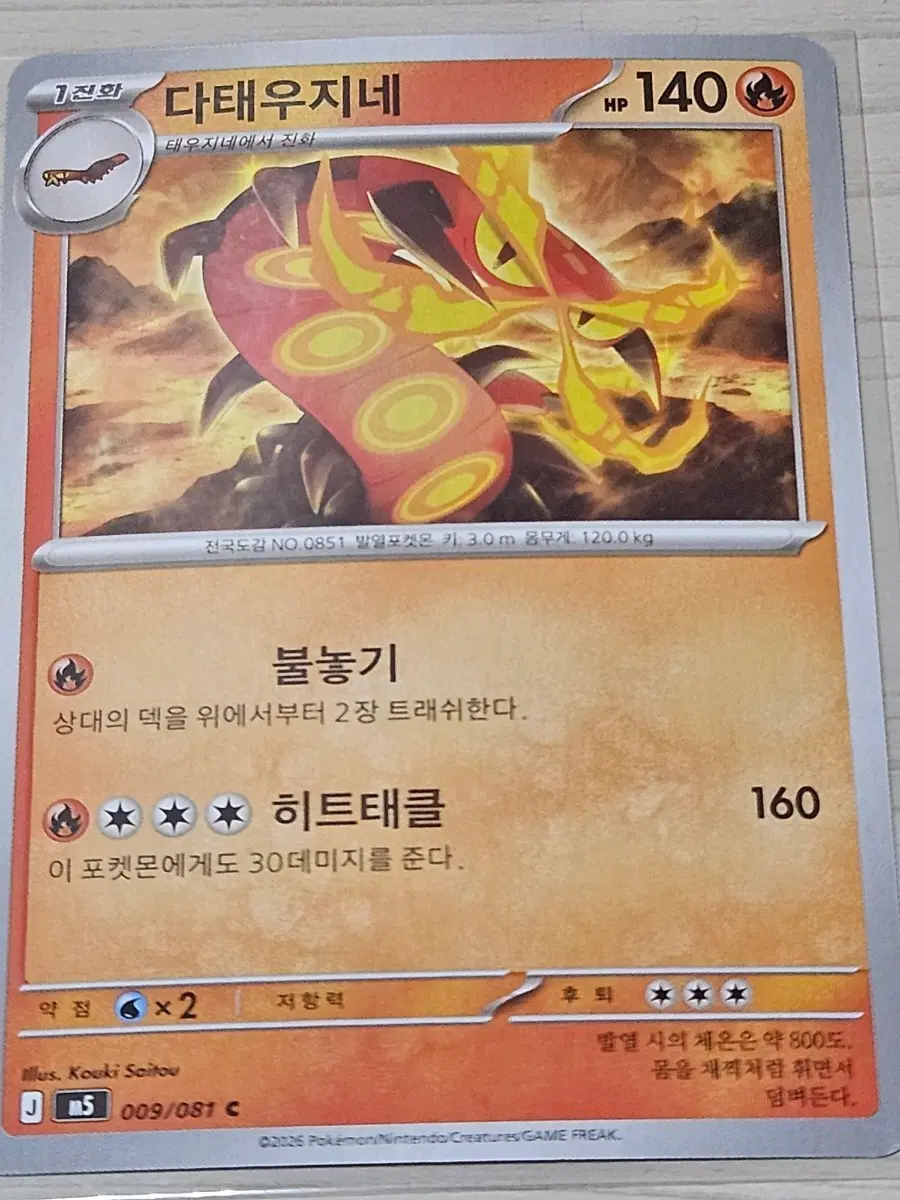 [한정수량] 포켓몬 카드 다태우지네