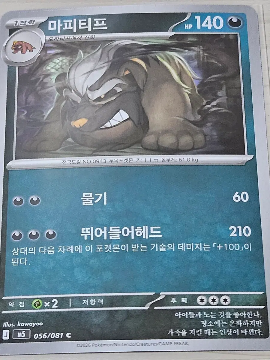[한정수량] 포켓몬카드 마피티프