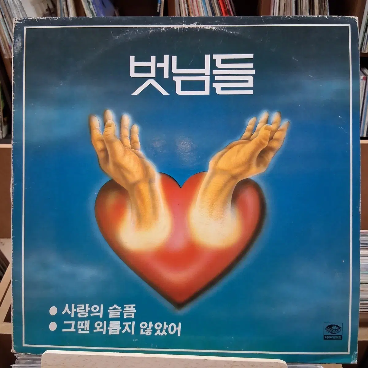 벗님들 사랑의 슬픔 / 그냥 외롭지 않았어 LP