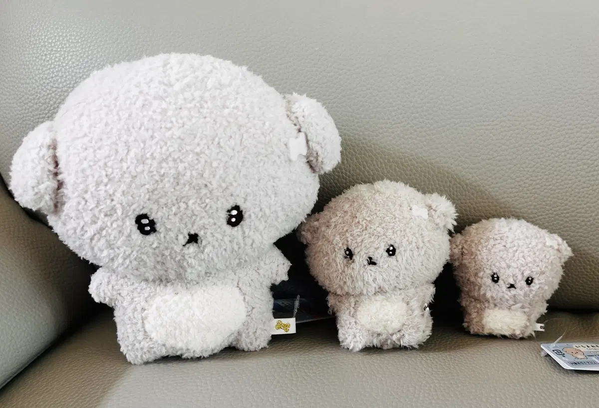 산엑스 이시요와짱 인형 3종 (M, 일반, 테노리)