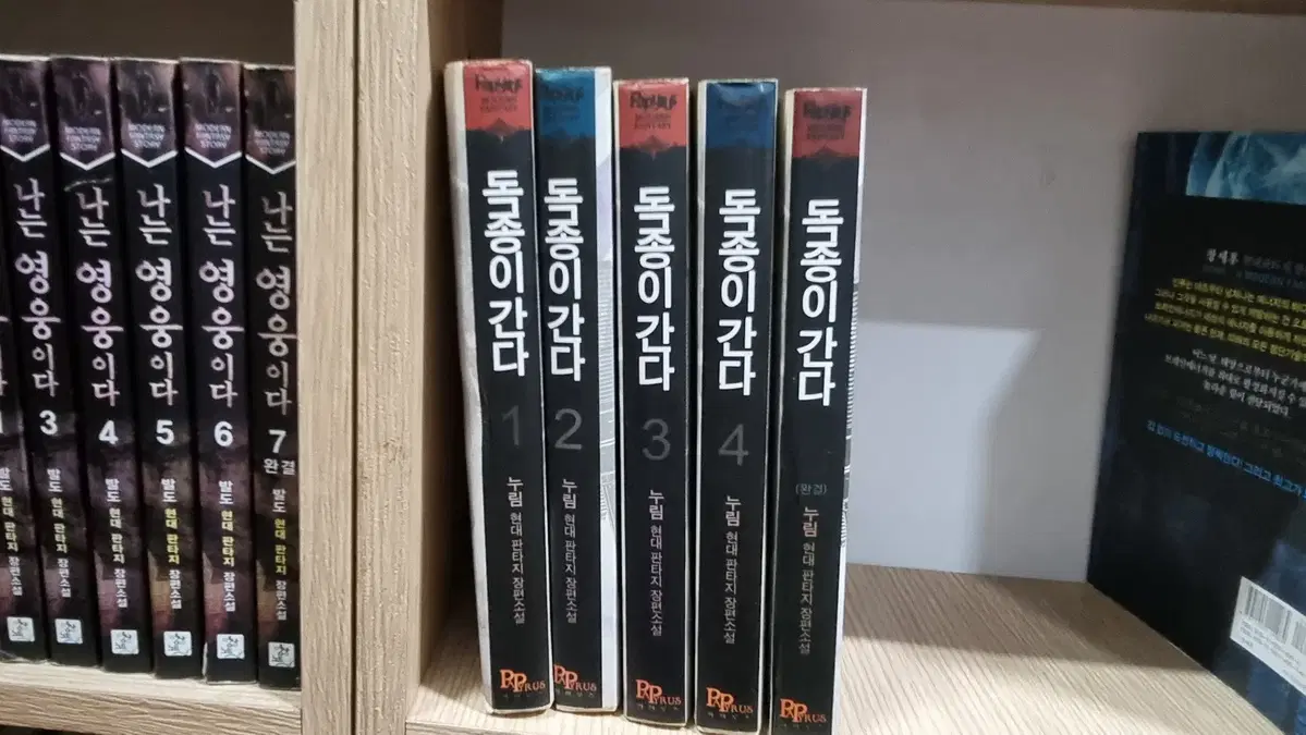 독종이간다 1-5 완 누림 현대판타지 소설