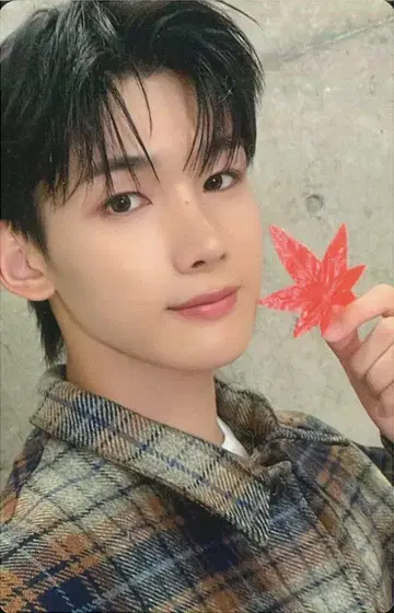 &TEAM 초회 한정판 B JO Jyuugoya AUTUMN BOX 주황