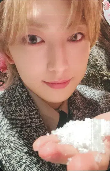 &TEAM 멤버 솔로 자켓반 ver. FUMA 유키아카리(Yukiakari) C