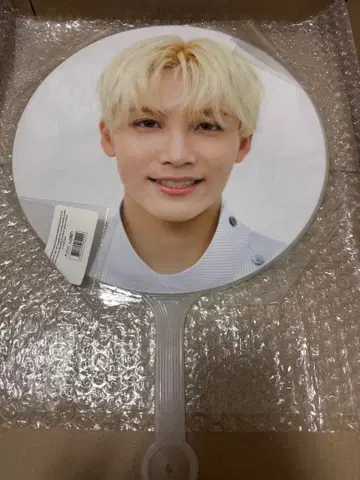 SEVENTEEN 정한 부채