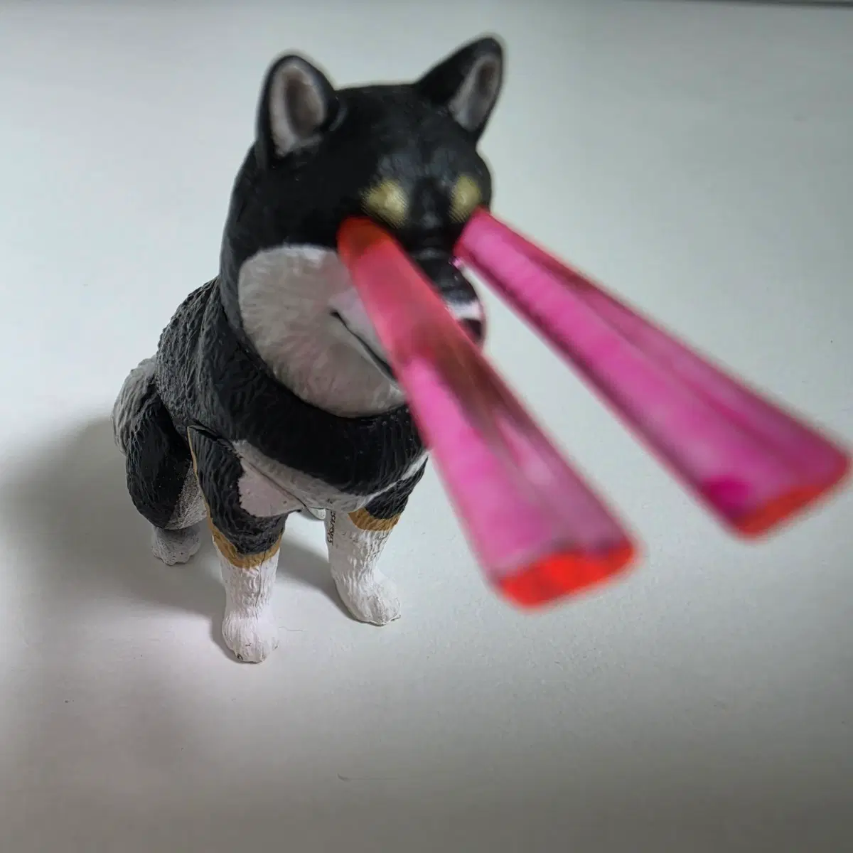 눈에서 빔 강아지 고양이 피규어 가챠 시바견