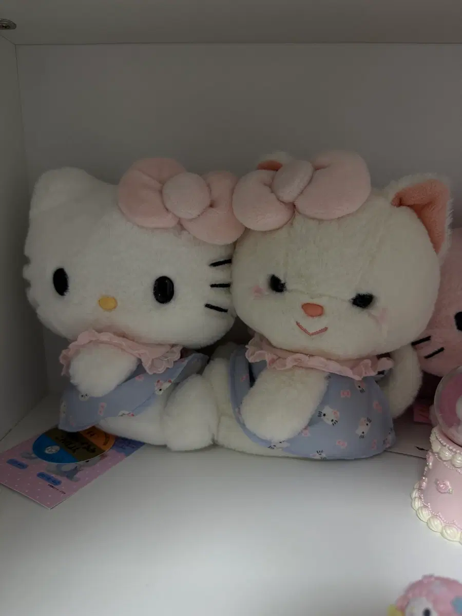 요시토쿠 누이