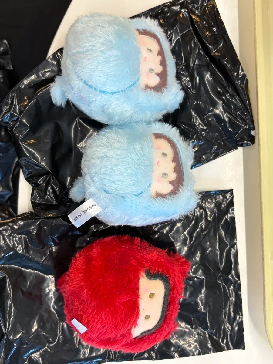 히카루가 죽은 여름 타피누이