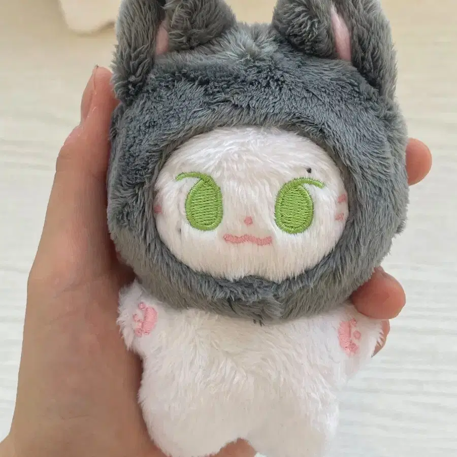 이븐 이정현 인형 쩡냥캣 늑대모자