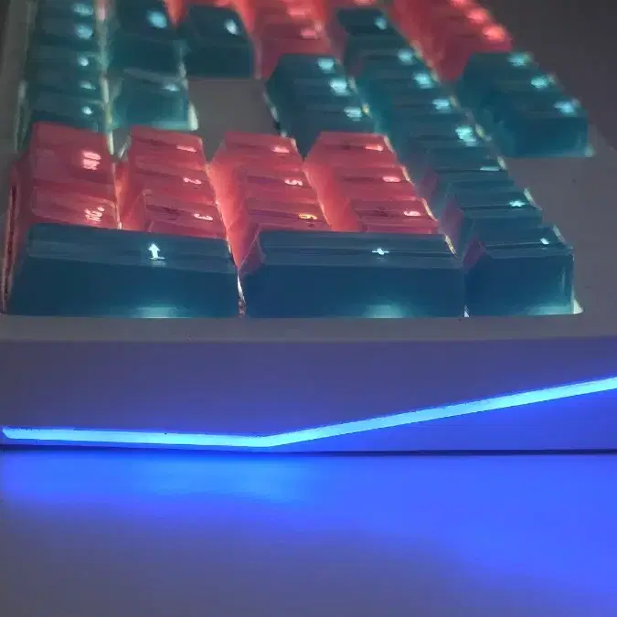 콕스 ck8200 기계식 광축 키보드