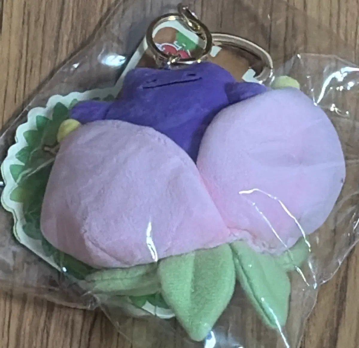 (미개봉) 메타몽 시크릿 포레스트 인형