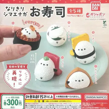 나리키리 시마에나가 초밥 전 5종 컴플리트