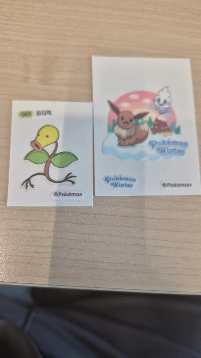 커다란 윈터에디션 이브이 띠브실