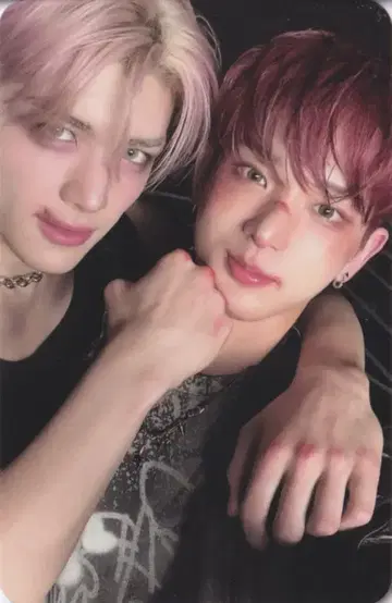 &TEAM 포토카드 박스 하루아/마키 백 투 라이프 KR 1st 미니 앨범 유닛