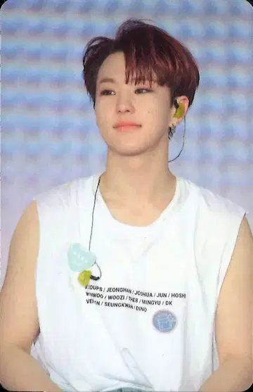 SEVENTEEN HOSHI DVD/Blu-ray HARU 트레이딩 카드