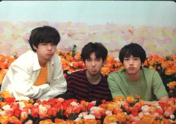 BTS LOVE YOURSELF V/RM/JIN 트레이딩 카드 2/8