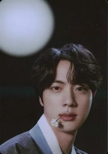 BTS 미니 포토 카드 JIN 2022 DALMAJUNG 4/6