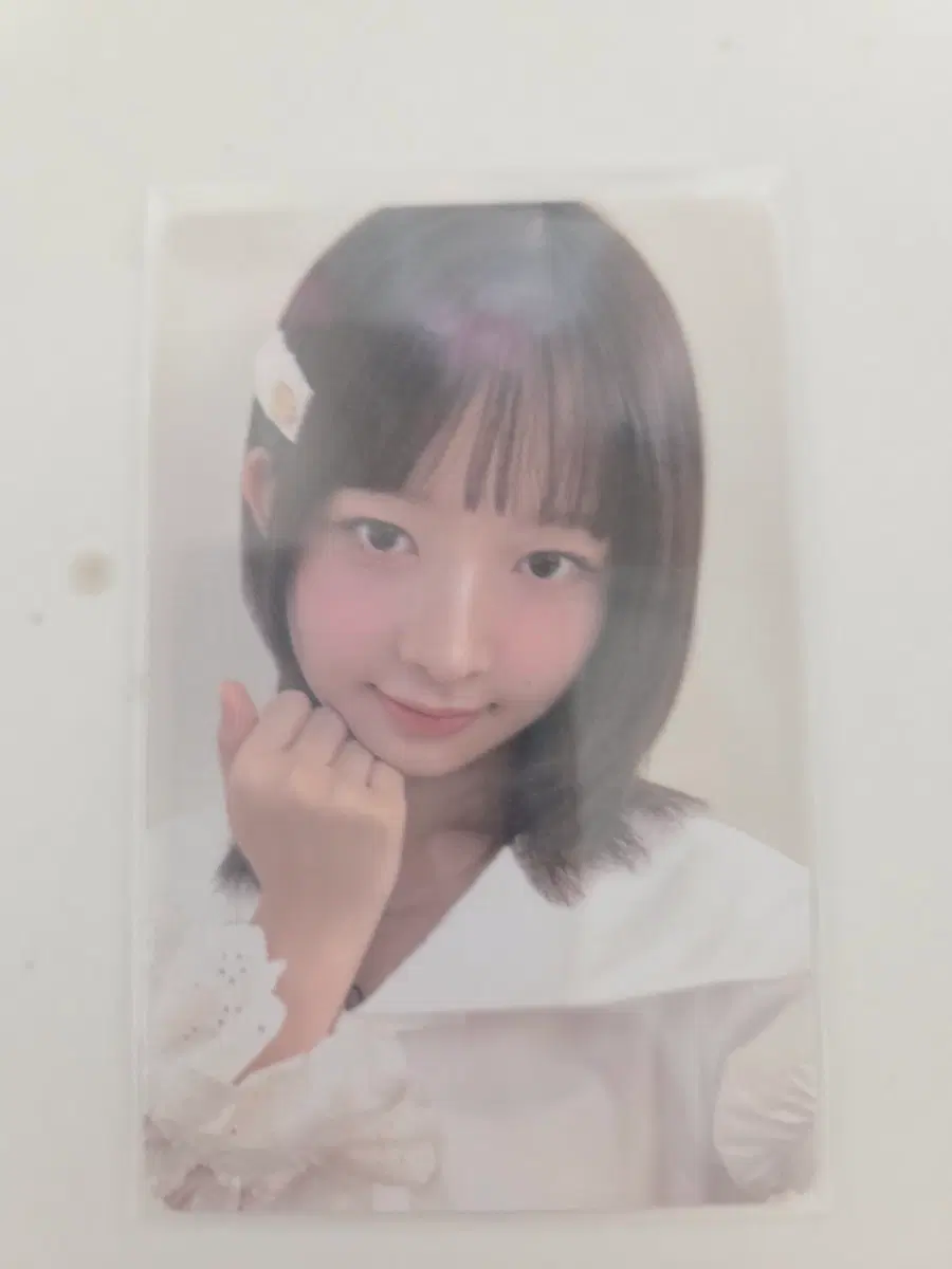 아이브 레이 스위치 타워레코드 일본 특전